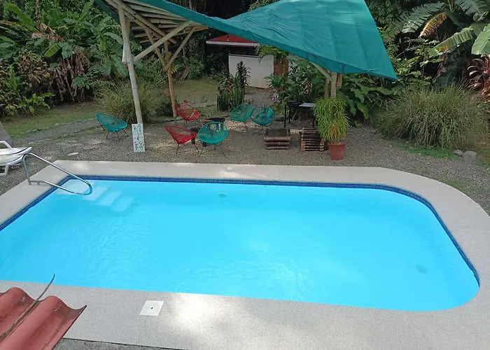 Selva Linda Lodge Jungle Wildlife Vue And Birdwatching