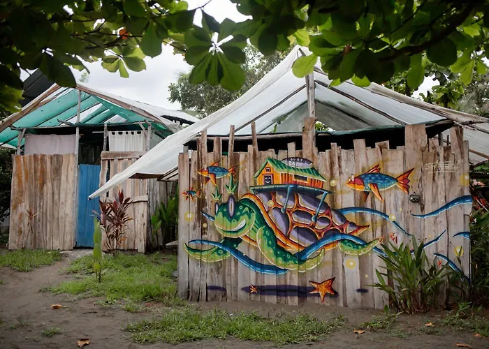 Miguel Surf Camp